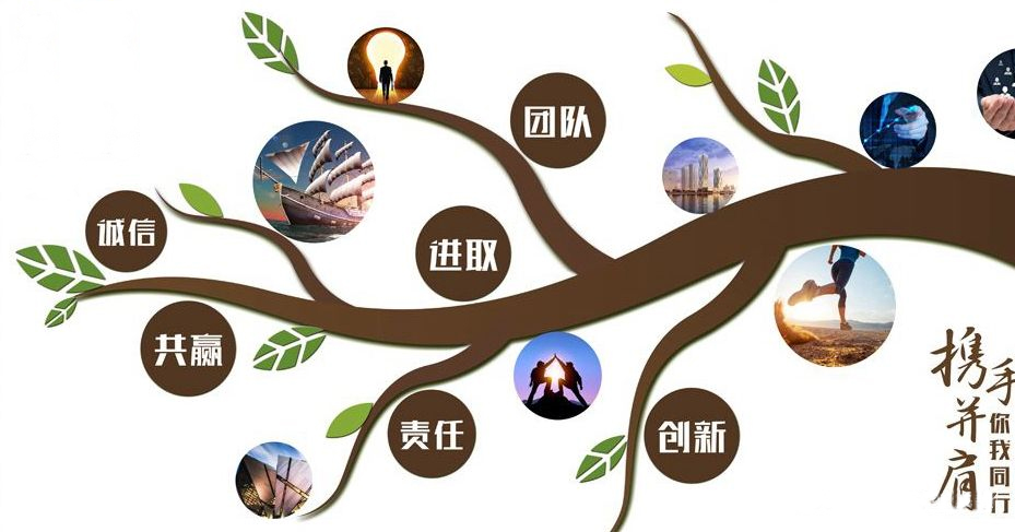 我們公司主營沃克斯電梯、日立別墅電梯、奧的斯電梯等產品，公司一直遵循誠信，共贏，創新等
